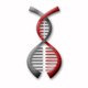 Co-Diagnostics, Inc. stock logo
